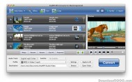 AnyMP4 MTS Converter for Mac screenshot